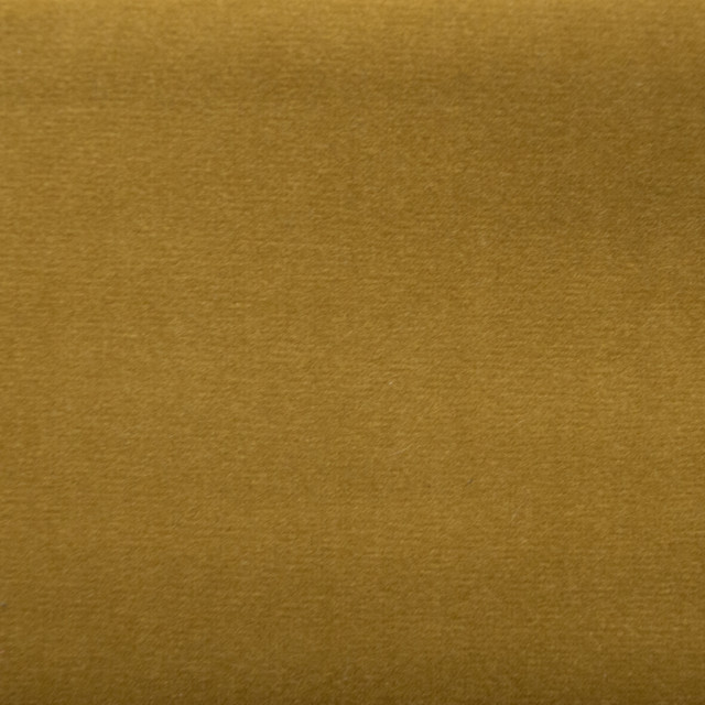 Sahara Lion by Europatex Designer Fabric Sahara 100% Polyester China 50,000 Double Rubs Horizontal: N/A and Vertical: N/A 56" - Swanky Fabrics -