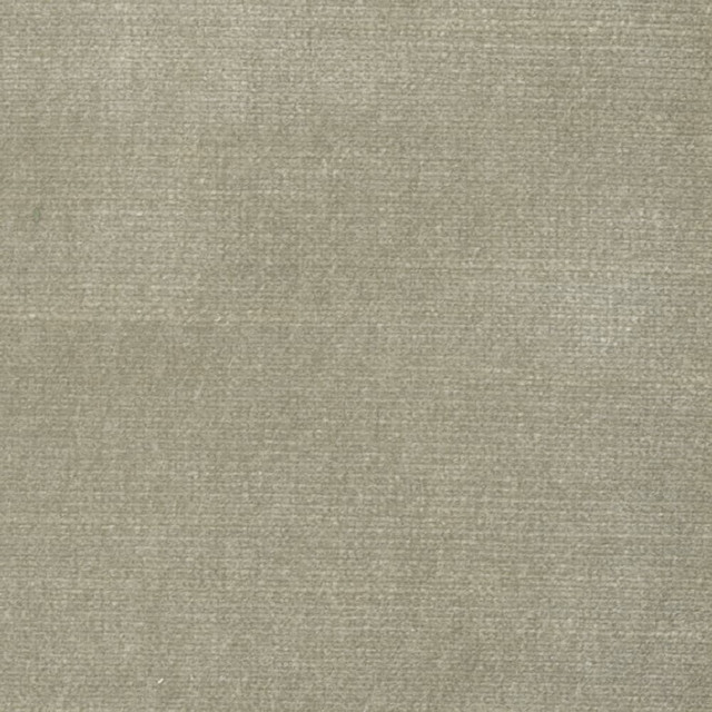 Belgium 13 Toast by Stout Designer Fabric REMINISCENT VELVET 68%SVI 32%POL INDIA FLAME RETARDANT-U.F.A.C. CLASS 1 FLAME RETARDANT-N.F.P.A. 260A CLASS 1 CATB 117-2013 WYZENBEEK 300 000 DOUBLE RUB TEST (HEAVY DUTY) </p><p>Repeat: 0 55 in - Swanky Fabrics -