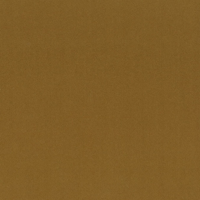 Grace 18 Lion by Stout Designer Fabric ENCORE 100%POL CHINA FLAME RETARDANT-N.F.P.A. 260A CLASS 1 CATB 117-2013 WYZENBEEK 50 000 DOUBLE RUB WEAR TEST (HEAVY DUTY) </p><p>Repeat: 0 55 in - Swanky Fabrics -