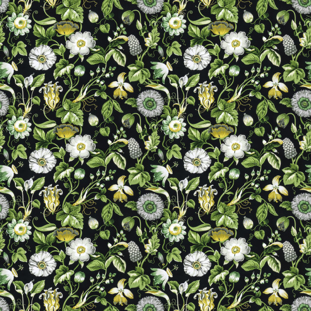 Obtuse 4 Black by Stout Designer Fabric RAINBOW LIBRARY FOG/COAL 100%COT PERU FLAME RETARDANT-U.F.A.C. CLASS 1 CATB 117-2013 WYZENBEEK 20 000 DOUBLE RUB WEAR TEST (HEAVY DUTY) </p><p>Repeat: 18 54 in - Swanky Fabrics -