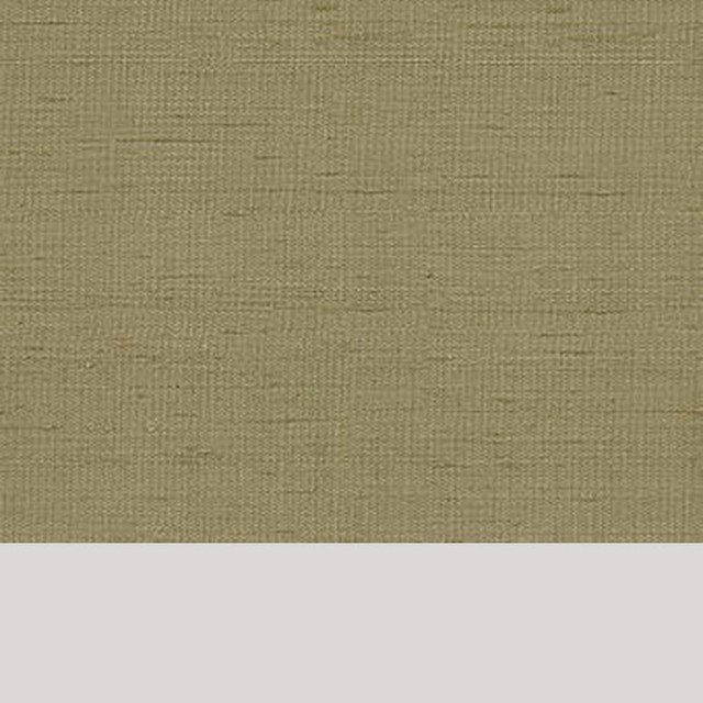 Indochine Graphite 3123051 by Schumacher Designer Fabric MANDARIN BAY See Sample INDIA LIGHT DUTY </p><p>Repeat: Horizontal: - and Vertical: - 54" WIDE (137CM) - Swanky Fabrics -