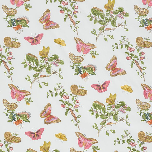 Baudin Butterfly Chintz Blush 178720 by Schumacher Designer Fabric Schumacher Classics 27.38" - Swanky Fabrics -