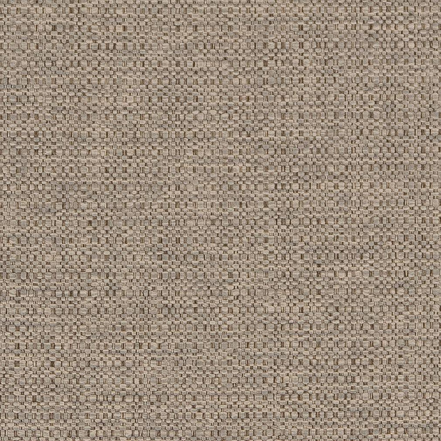 D1577 Dove by Charlotte Designer Fabric Eco Plains 100% Woven Polypropylene Made In USA Exceeds 60,000 Wyzenbeek Rubs (Heavy Duty) No Repeat 54 Inches - Swanky Fabrics -