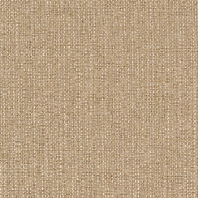 D1599 Almond by Charlotte Designer Fabric Eco Plains 100% Woven Polypropylene Made In USA Exceeds 60,000 Wyzenbeek Rubs (Heavy Duty) No Repeat 54 Inches - Swanky Fabrics -