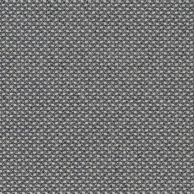D1618 Admiral by Charlotte Designer Fabric Eco Patterns 100% Woven Polypropylene Made In USA Exceeds 60,000 Wyzenbeek Rubs (Heavy Duty) No Repeat 54 Inches - Swanky Fabrics -
