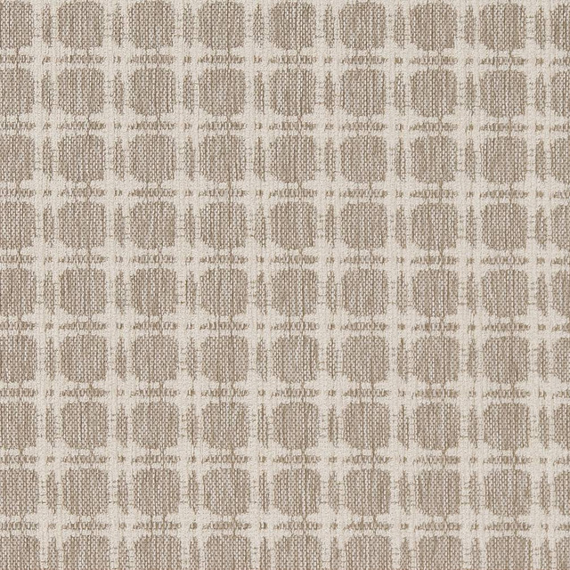 D1647 Moonstone by Charlotte Designer Fabric Eco Patterns 100% Woven Polypropylene Made In USA Exceeds 60,000 Wyzenbeek Rubs (Heavy Duty) Horizontal 1.25" x Vertical 1.25" 54 Inches - Swanky Fabrics -