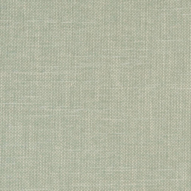 D1751 Aqua by Charlotte Designer Fabric Crypton III 70% Polyester, 25% Viscose, 5% Linen Asia Exceeds 200,000 Wyzenbeek Rubs (Heavy Duty) No Repeat 54 Inches - Swanky Fabrics -