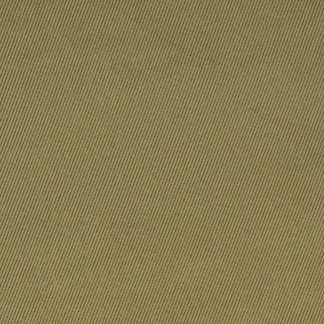 D1760 Sage by Charlotte Designer Fabric Classic Velvet 100% Woven Polyester Asia Exceeds 200,000 Wyzenbeek Rubs (Heavy Duty) No Repeat 54 Inches - Swanky Fabrics - D1760 Sage by Charlotte Designer Fabric Classic Velvet 100% Woven Polyester Asia Exceeds 200,000 Wyzenbeek Rubs (Heavy Duty) No Repeat 54 Inches - Swanky Fabrics -
