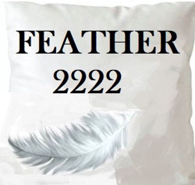 Feather 2222 Insert 22X22 by Norbar Designer Fabric PILLOW INSERT - Swanky Fabrics - Feather 2222 Insert 22X22 by Norbar Designer Fabric PILLOW INSERT - Swanky Fabrics -