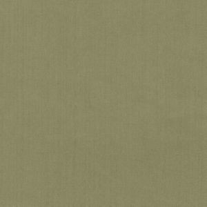 Scorpio Moss 50 by Norbar Designer Fabric SCORPIO 100% INHERENTLY FLAME INDIA 54" - Swanky Fabrics -