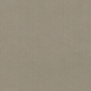 Scorpio Silt 4 by Norbar Designer Fabric SCORPIO 100% INHERENTLY FLAME INDIA 54" - Swanky Fabrics -