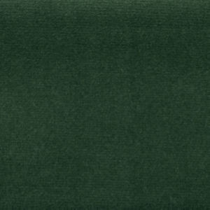 Sonic Evergreen by Norbar Designer Fabric SONIC 100% POLYESTER CHINA 57 - Swanky Fabrics -