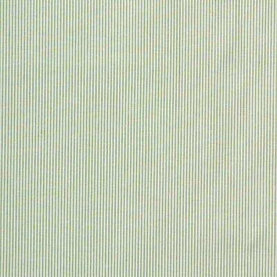 Captiva Ticking Green by Lee Jofa Designer Fabric COLOUR COMPLEMENTS II COTTON - 100% Portugal HEAVY Horizontal: 0 and Vertical: 0 54 - Swanky Fabrics -