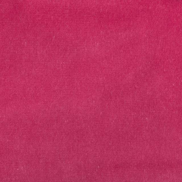 Velvet Treat Hot Pink by Kravet Couture Designer Fabric MODERN COLORS III COTTON - 100% Netherlands HEAVY Horizontal: 0 and Vertical: 0 54 - Swanky Fabrics -
