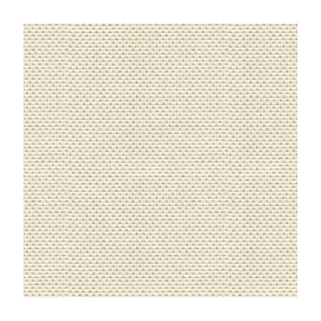 Sener Ivory by Kravet Design Designer Fabric CONSTANTINOPLE POLYESTER - 76%;COTTON - 24% Turkey HEAVY Horizontal: - and Vertical: - 55 - Swanky Fabrics -