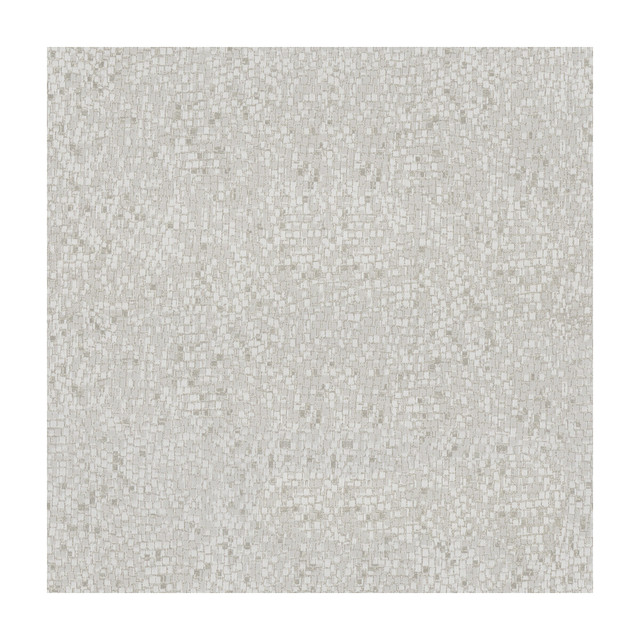 Dazzling Haute Pumice by Kravet Couture Designer Fabric MODERN LUXE II VISCOSE - 55%;POLYESTER - 45% India - Horizontal: 13 and Vertical: 15.5 55 - Swanky Fabrics -