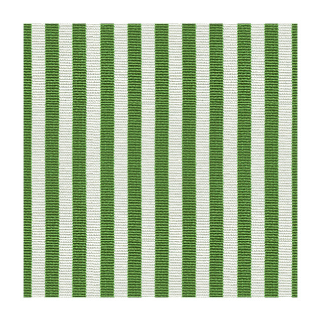 Grosgrain Picnic Green by Kravet Design Designer Fabric KATE SPADE CLASSICS COTTON - 68%;POLYESTER - 32% Turkey HEAVY Horizontal: and Vertical: 54.5 - Swanky Fabrics -