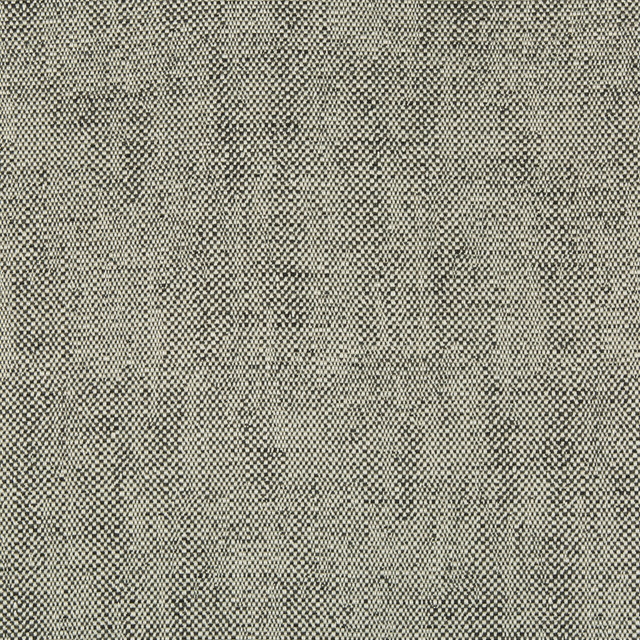 35132-81 by Kravet Contract Designer Fabric INCASE CRYPTON GIS RAYON - 78%;COTTON - 21%;NYLON - 1% United States HEAVY Horizontal: 0 and Vertical: 0 57 - Swanky Fabrics -