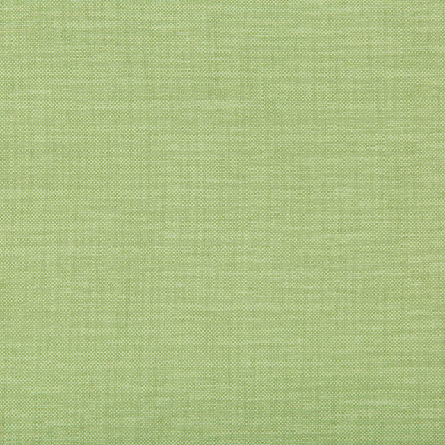 Oxfordian Leaf by Kravet Basics Designer Fabric BERMUDA COTTON - 77%;POLYESTER - 23% India MEDIUM Horizontal: - and Vertical: - 54 - Swanky Fabrics -