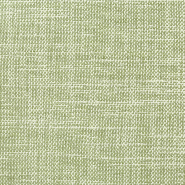 Okanda Leaf by Kravet Smart Designer Fabric PERFORMANCE KRAVETARMOR COTTON - 54%;POLYESTER - 46% India HEAVY Horizontal: - and Vertical: - 54 - Swanky Fabrics -