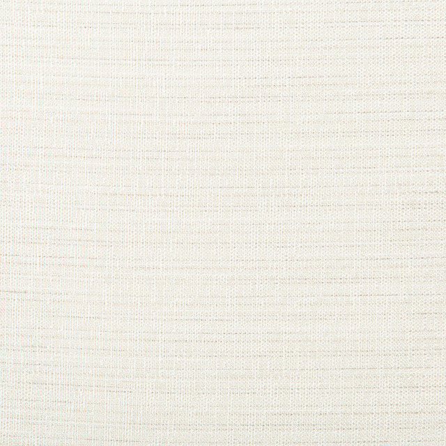 4673-101 by Kravet Basics Designer Fabric POLYESTER - 100% India Horizontal: 0 and Vertical: 0 54 - Swanky Fabrics -