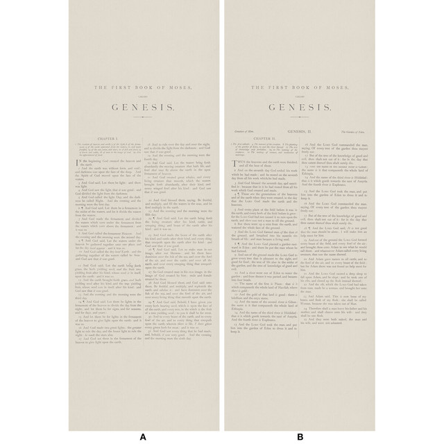 Genesis 16 by Kravet Couture Designer Wallcovering ANDREW MARTIN SCHOLAR WOOD PULP - 45%;BINDER - 20%;MINERAL FILLERS - 20%;POLYESTER - 15% United Kingdom - Horizontal: 110.25 and Vertical: 157.5 110.25 - Swanky Fabrics -