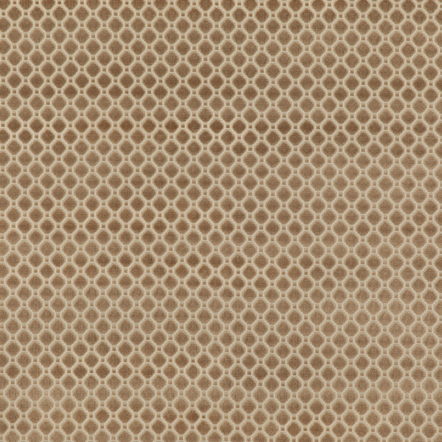 Indus Velvet Oyster by G P & J Baker Designer Fabric COROMANDEL VELVETS VISCOSE - 100% Belgium HEAVY Horizontal: 1.379 and Vertical: 1.379 53.978 - Swanky Fabrics -