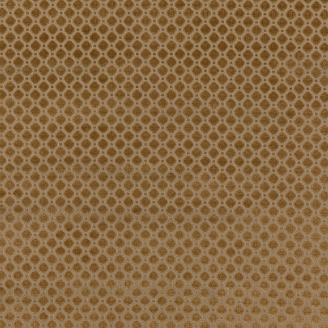 Indus Velvet Bronze by G P & J Baker Designer Fabric COROMANDEL VELVETS VISCOSE - 100% Belgium HEAVY Horizontal: 1.379 and Vertical: 1.379 53.978 - Swanky Fabrics -