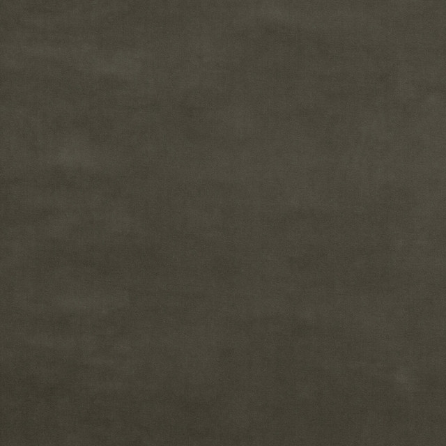 Baker House Velvet Pigeon by G P & J Baker Designer Fabric BAKER HOUSE VELVET COTTON - 89%;POLYESTER - 11% Italy HEAVY Horizontal: - and Vertical: - 55.16 - Swanky Fabrics -