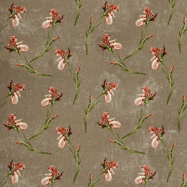 Baker Iris Mole by G P & J Baker Designer Fabric SIGNATURE VELVETS VISCOSE - 55%;COTTON - 45% Italy - Horizontal: 27.58 and Vertical: 23.246 55.16 - Swanky Fabrics -