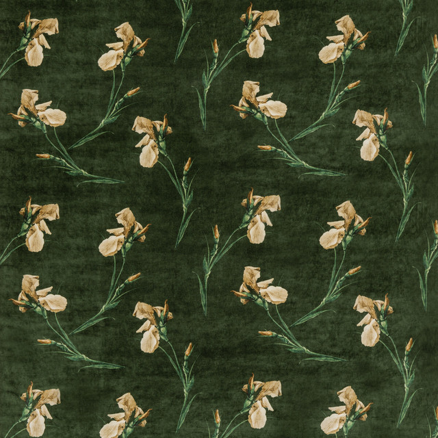 Baker Iris Emerald by G P & J Baker Designer Fabric SIGNATURE VELVETS VISCOSE - 55%;COTTON - 45% Italy - Horizontal: 27.58 and Vertical: 23.246 55.16 - Swanky Fabrics -