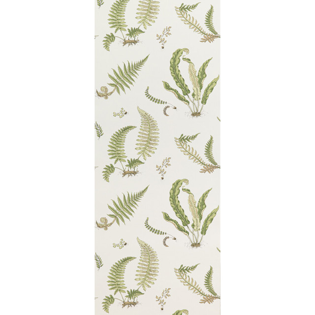 Ferns Leaf by G P & J Baker Designer Wallcovering SIGNATURE II WALLPAPERS PAPER - 100% United Kingdom - Horizontal: 20.488 and Vertical: 20.882 20.488 - Swanky Fabrics -