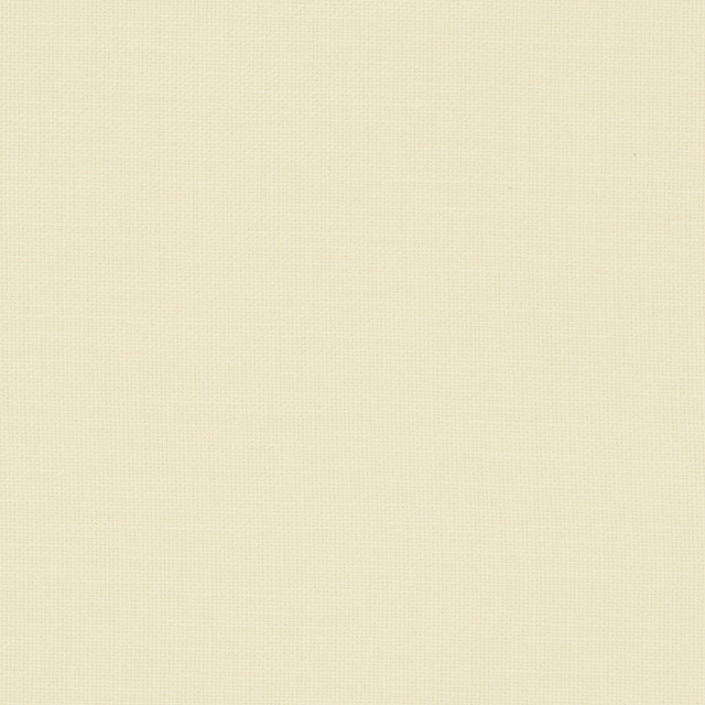 Nantucket Cream by Clarke And Clarke Designer Fabric CLARKE & CLARKE NANTUCKET COTTON - 100% India HEAVY Horizontal: 0 and Vertical: 0 55 - Swanky Fabrics -
