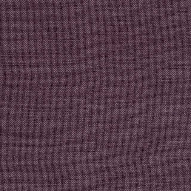Nantucket Grape by Clarke And Clarke Designer Fabric CLARKE & CLARKE NANTUCKET COTTON - 100% India HEAVY Horizontal: 0 and Vertical: 0 55 - Swanky Fabrics -