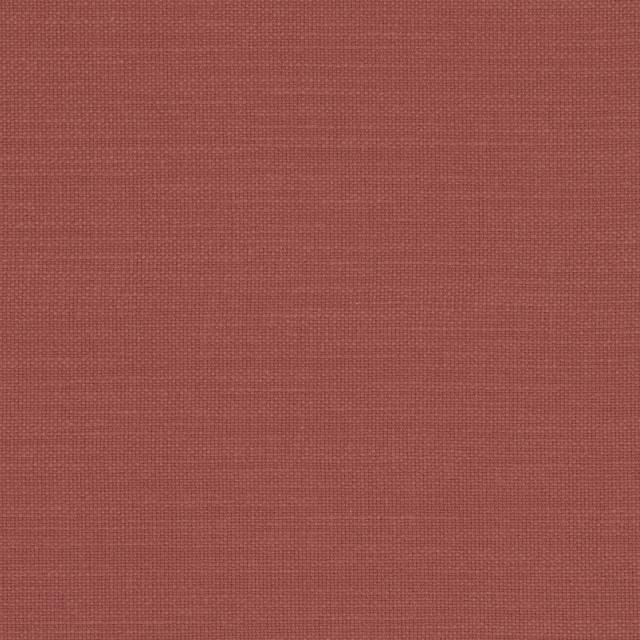 Nantucket Sienna by Clarke And Clarke Designer Fabric CLARKE & CLARKE NANTUCKET COTTON - 100% India HEAVY Horizontal: 0 and Vertical: 0 55 - Swanky Fabrics -