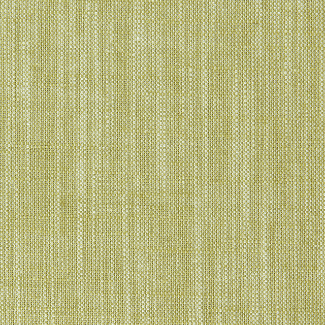 Biarritz Citrus by Clarke And Clarke Designer Fabric CLARKE & CLARKE BIARRITZ VISCOSE - 70%;LINEN - 30% India HEAVY Horizontal: 0 and Vertical: 0 55 - Swanky Fabrics -