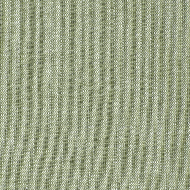 Biarritz Parsley by Clarke And Clarke Designer Fabric CLARKE & CLARKE BIARRITZ VISCOSE - 70%;LINEN - 30% India HEAVY Horizontal: 0 and Vertical: 0 55 - Swanky Fabrics -