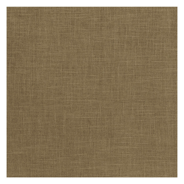 Albany Moss by Clarke And Clarke Designer Fabric CLARKE & CLARKE ALBANY & MORAY POLYESTER - 78%;COTTON - 22% India HEAVY Horizontal: 0 and Vertical: 0 55 - Swanky Fabrics -