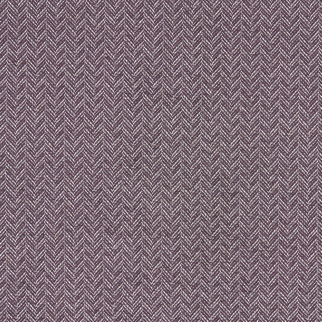 Trinity Damson by Clarke And Clarke Designer Fabric CLARKE & CLARKE EQUINOX COTTON - 62%;POLYESTER - 38% Turkey HEAVY Horizontal: 0.75 and Vertical: 0.47 54 - Swanky Fabrics -