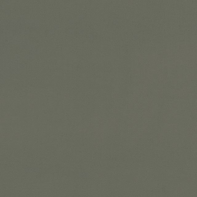 Renzo Charcoal by Clarke And Clarke Designer Fabric CLARKE & CLARKE RENZO POLYESTER - 100% China HEAVY Horizontal: 0 and Vertical: 0 55 - Swanky Fabrics -