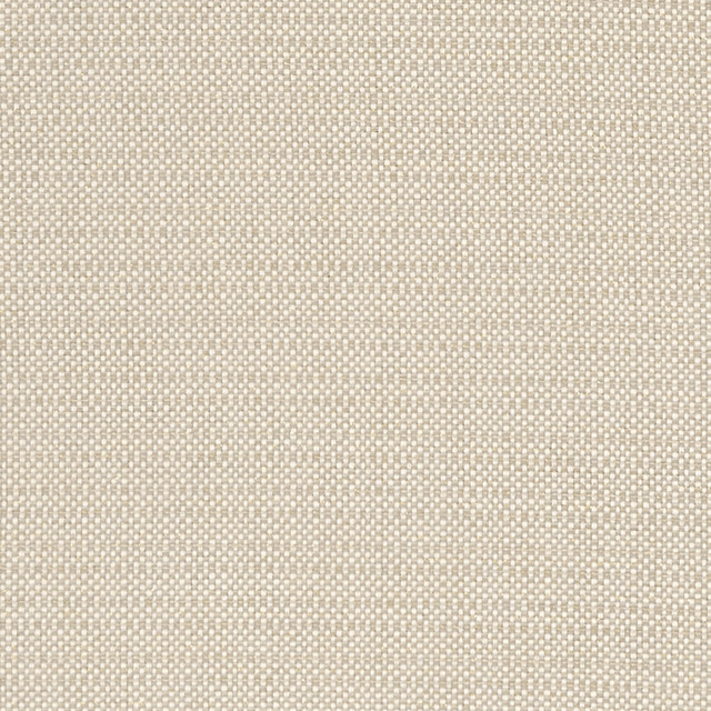 Kauai Linen by Clarke And Clarke Designer Fabric CLARKE & CLARKE EXOTICA COTTON - 46%;POLYESTER - 42%;VISCOSE - 12% India HEAVY Horizontal: 0 and Vertical: 0 54 - Swanky Fabrics -