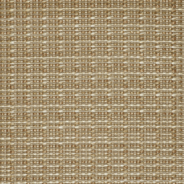 Mauregato Paja by Gaston Y Daniela Designer Fabric LORENZO CASTILLO V COTTON - 54%;POLYAMIDE - 28%;POLYESTER - 18% Italy HEAVY Horizontal: 1.18 and Vertical: 1.18 54.33 - Swanky Fabrics -