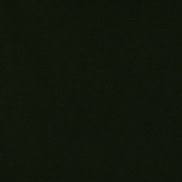 Meres Verde Botella by Gaston Y Daniela Designer Fabric LORENZO CASTILLO V TREVIRA - 100% Italy HEAVY Horizontal: 0 and Vertical: 0 55.1 - Swanky Fabrics -