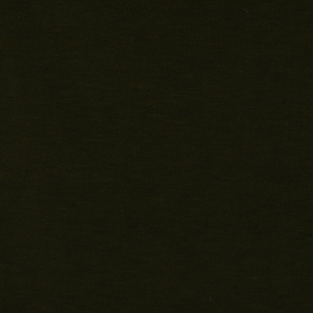 Meres Verde Kaki by Gaston Y Daniela Designer Fabric LORENZO CASTILLO V TREVIRA - 100% Italy HEAVY Horizontal: 0 and Vertical: 0 55.1 - Swanky Fabrics -