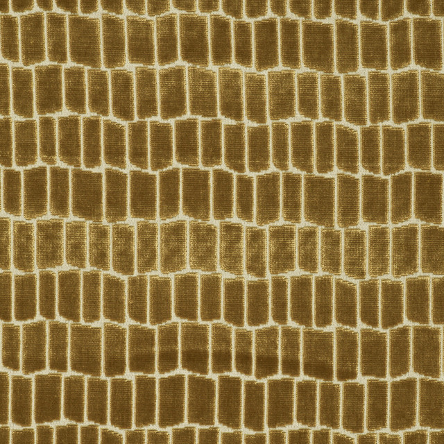 Maximo Oro by Gaston Y Daniela Designer Fabric LORENZO CASTILLO V VISCOSE - 75%;POLYESTER - 25% Belgium HEAVY Horizontal: 6.89 and Vertical: 4.84 54.33 - Swanky Fabrics -