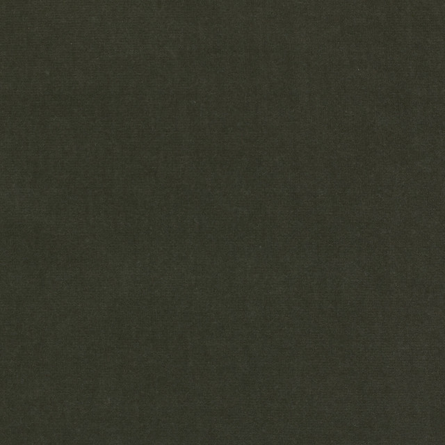 Eternal 29 by Kravet Design Designer Fabric LIZZO COTTON - 100% Spain HEAVY Horizontal: 0 and Vertical: 0 55 - Swanky Fabrics -