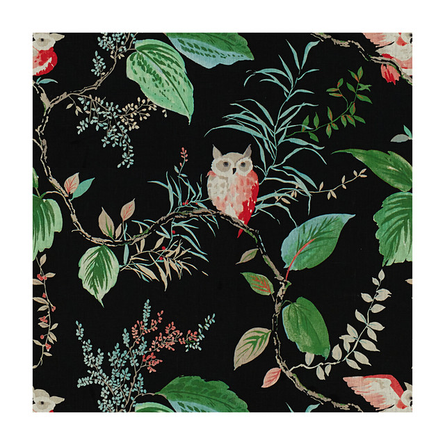 Owlish Black by Kravet Design Designer Fabric KATE SPADE CURIOSITIES LINEN - 100% China MEDIUM Horizontal: 27 and Vertical: 27 54 - Swanky Fabrics -