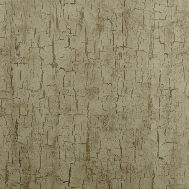 Tree Bark Antique by Clarke And Clarke Designer Wallcovering CLARKE & CLARKE REFLECTIONS WOOD PULP - 74%;BINDER - 13%;POLYESTER - 13% United Kingdom - Horizontal: 20.875 and Vertical: 10.5 20.875 - Swanky Fabrics -