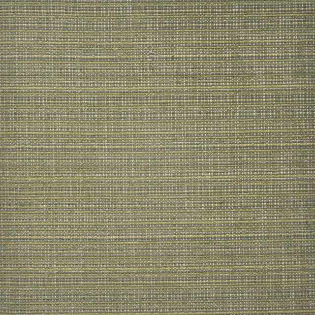 Bobbin # 929 Olive by Maxwell Designer Fabric Maxwell Right 56.5 76.28   by product