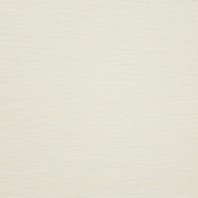 Bursa # 02 Vanilla by Maxwell Designer Fabric Pure & Simple X 72% RAYON/28% POLYESTER CHINA 56" - Swanky Fabrics -